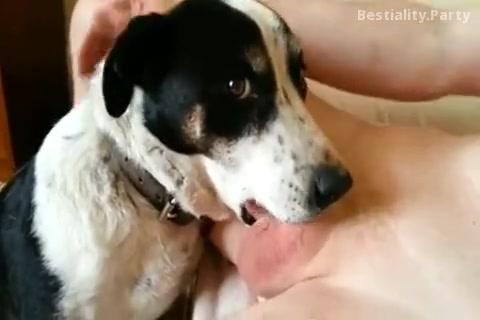 Dog sucks man