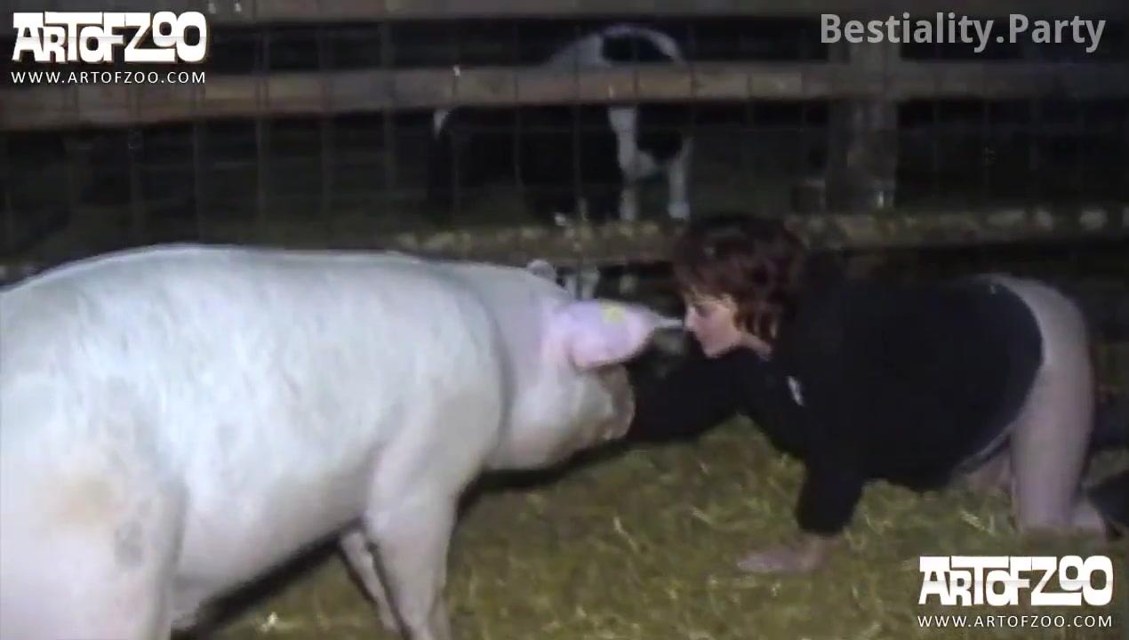 Pig sex porn