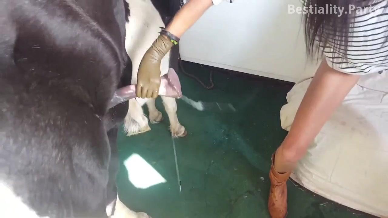 Sex with horse and girl