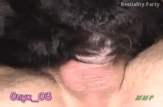 Porno hombre con una perra