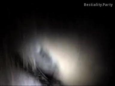 Guy fucks horse pussy