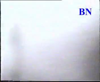 Marginal man fucked a cow on cam for a bottle of vodka