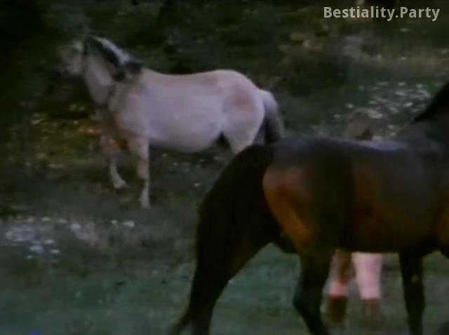 Woman and boar sex in Dutch