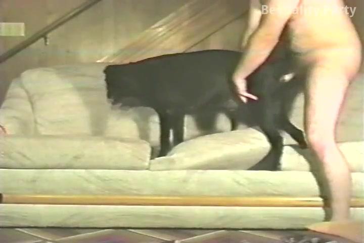 Animal sex with men and dog bitch