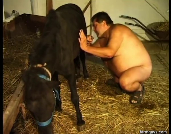 Cute horny dude enjoying crazy zoo club sex