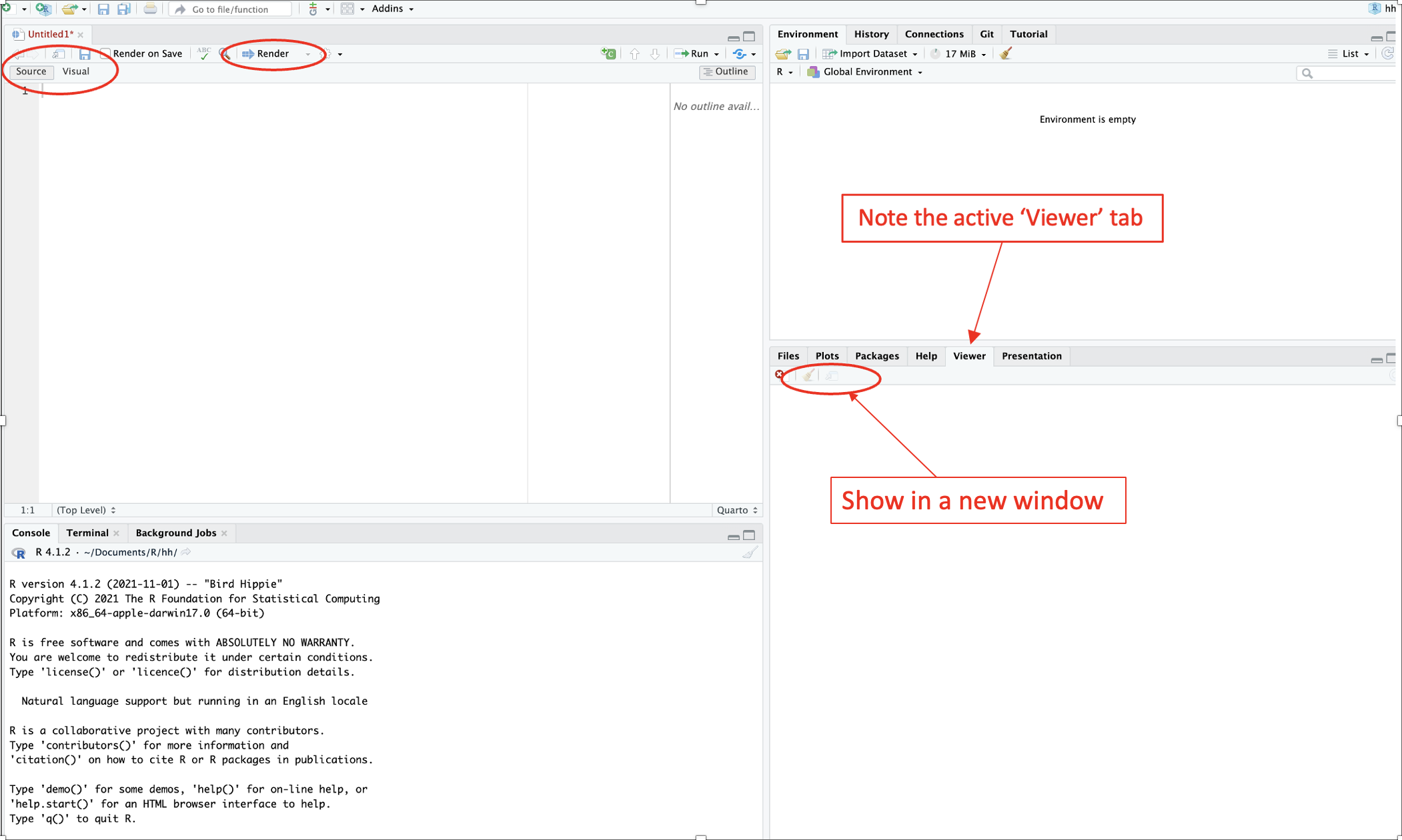 RStudio Interface 2