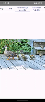 ScrollGesturePropagation.NotZoomed