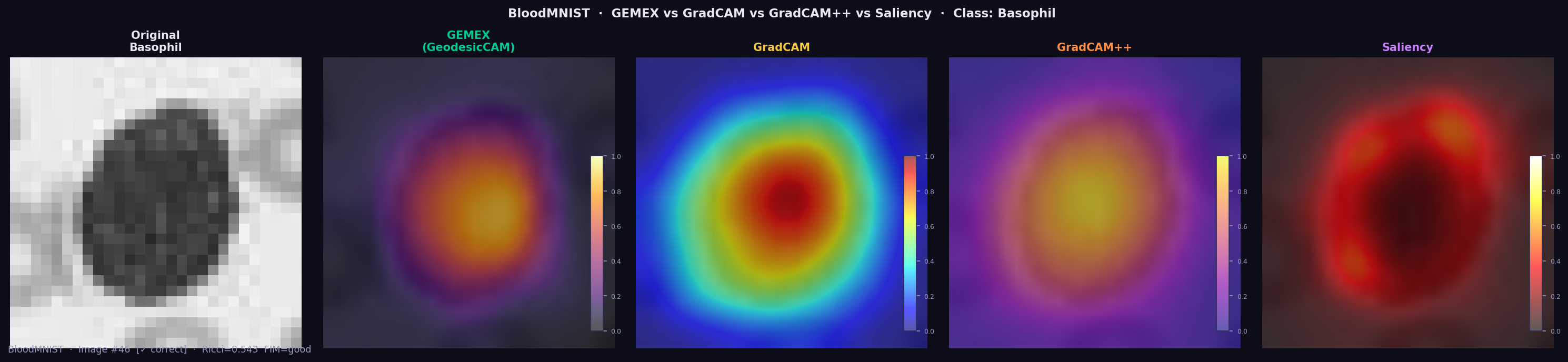 GEMEX vs GradCAM — blood cell Basophil