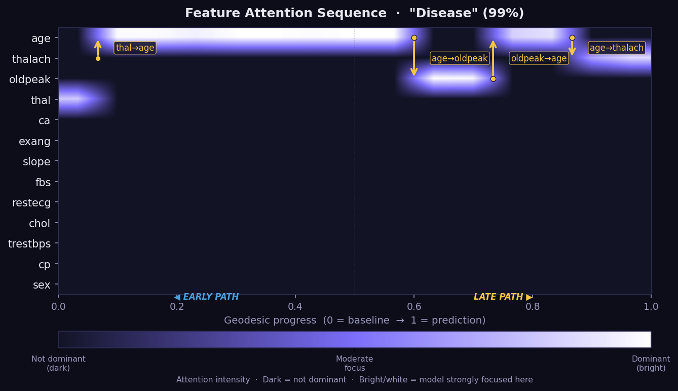 GEMEX FAS attention heatmap
