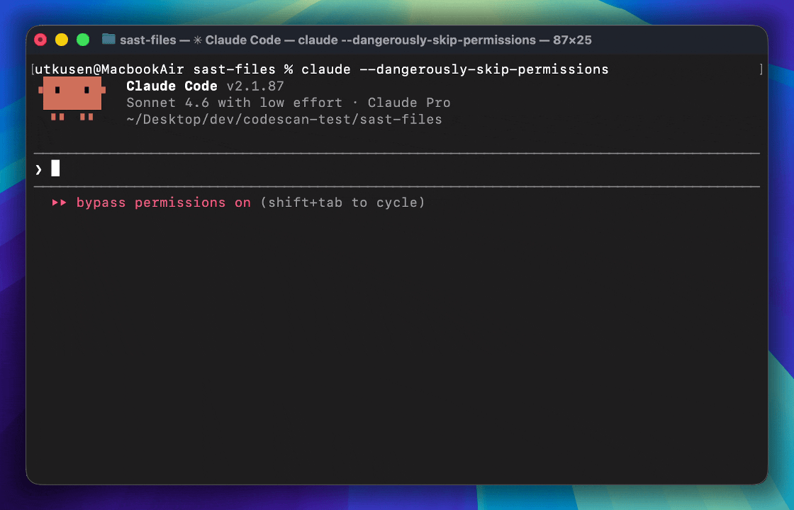 Process in Claude Code