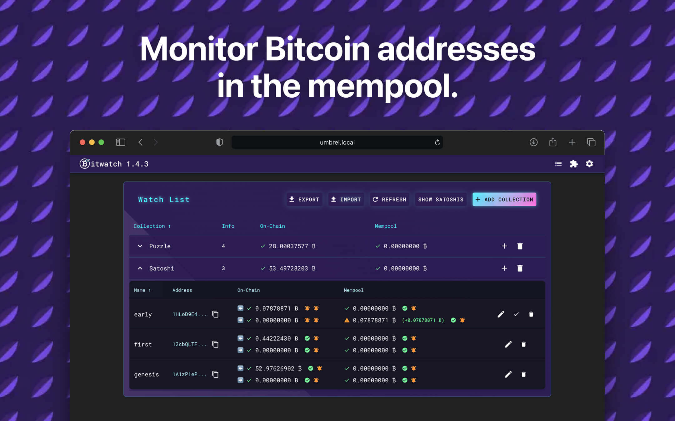 Bitwatch screenshot 1