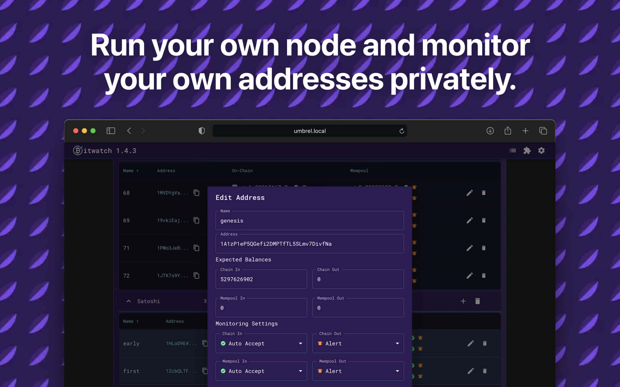 Bitwatch screenshot 2