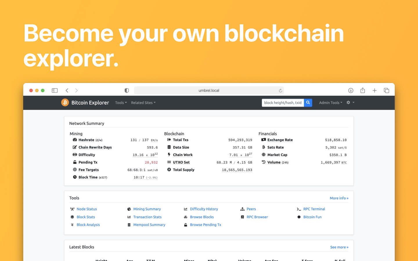 BTC RPC Explorer screenshot 1