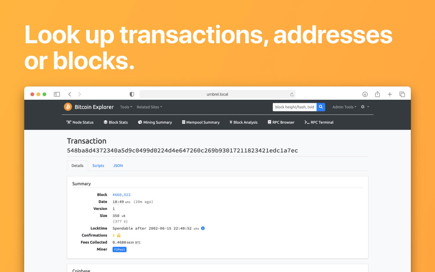 BTC RPC Explorer screenshot 2