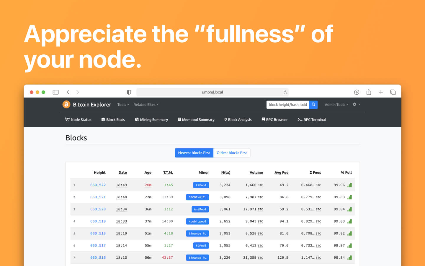 BTC RPC Explorer screenshot 3