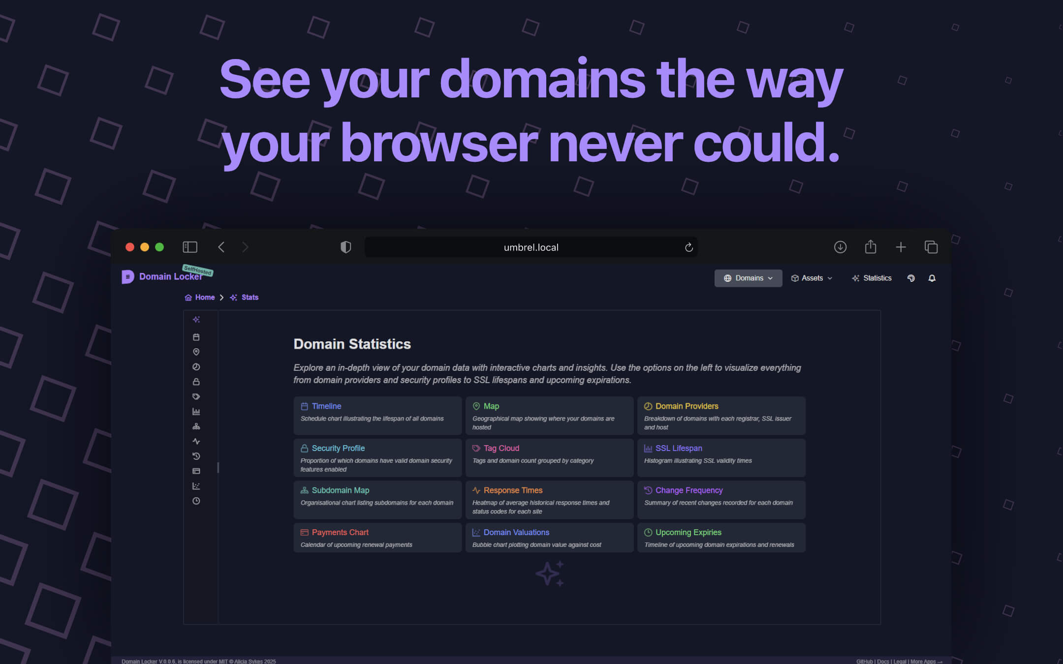 Domain Locker screenshot 4