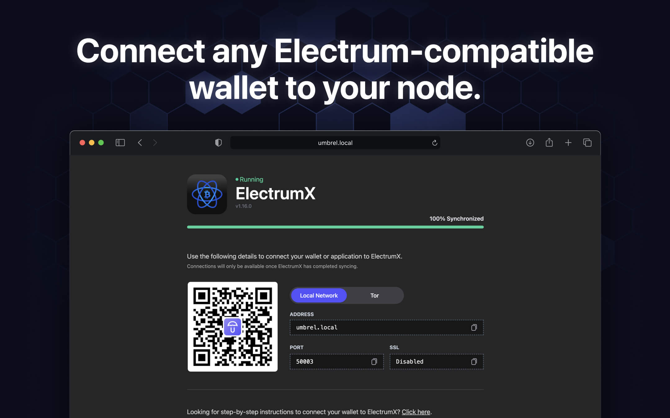 ElectrumX screenshot 2