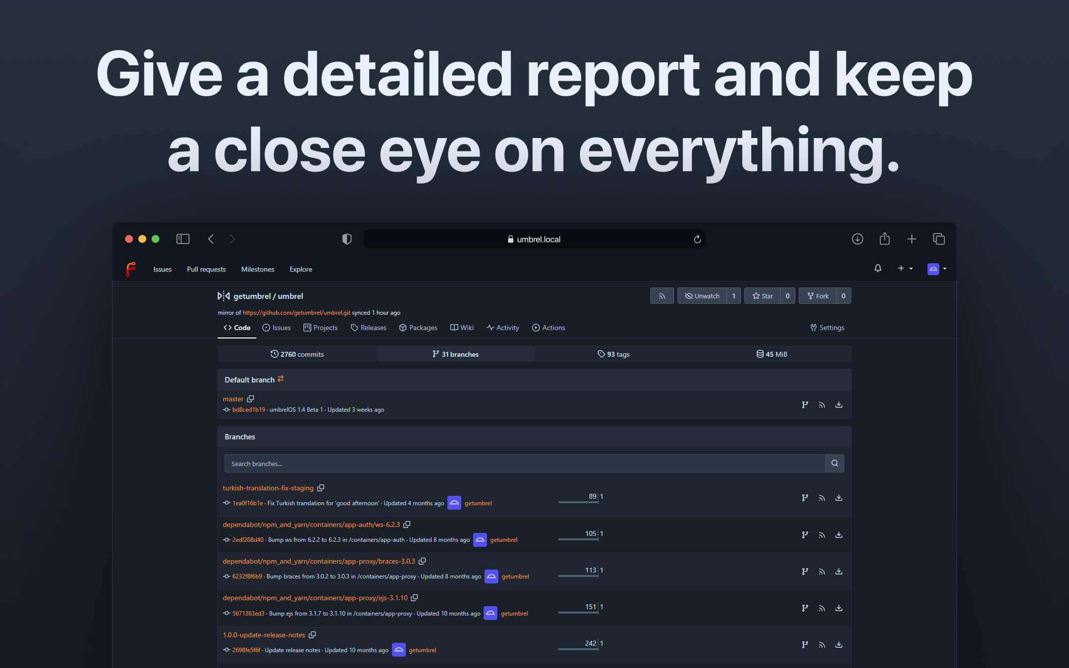 Forgejo screenshot 3