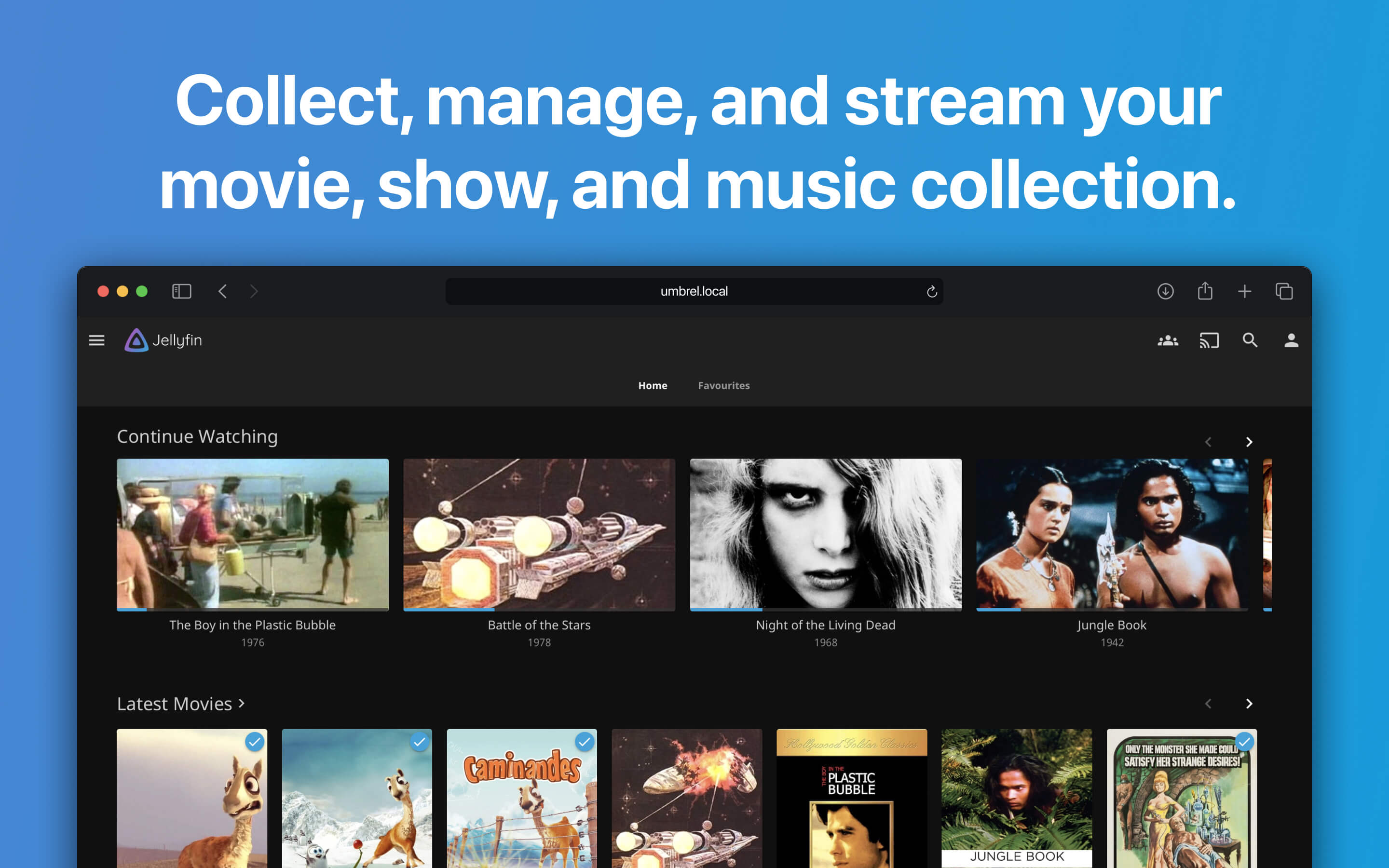 Jellyfin screenshot 3