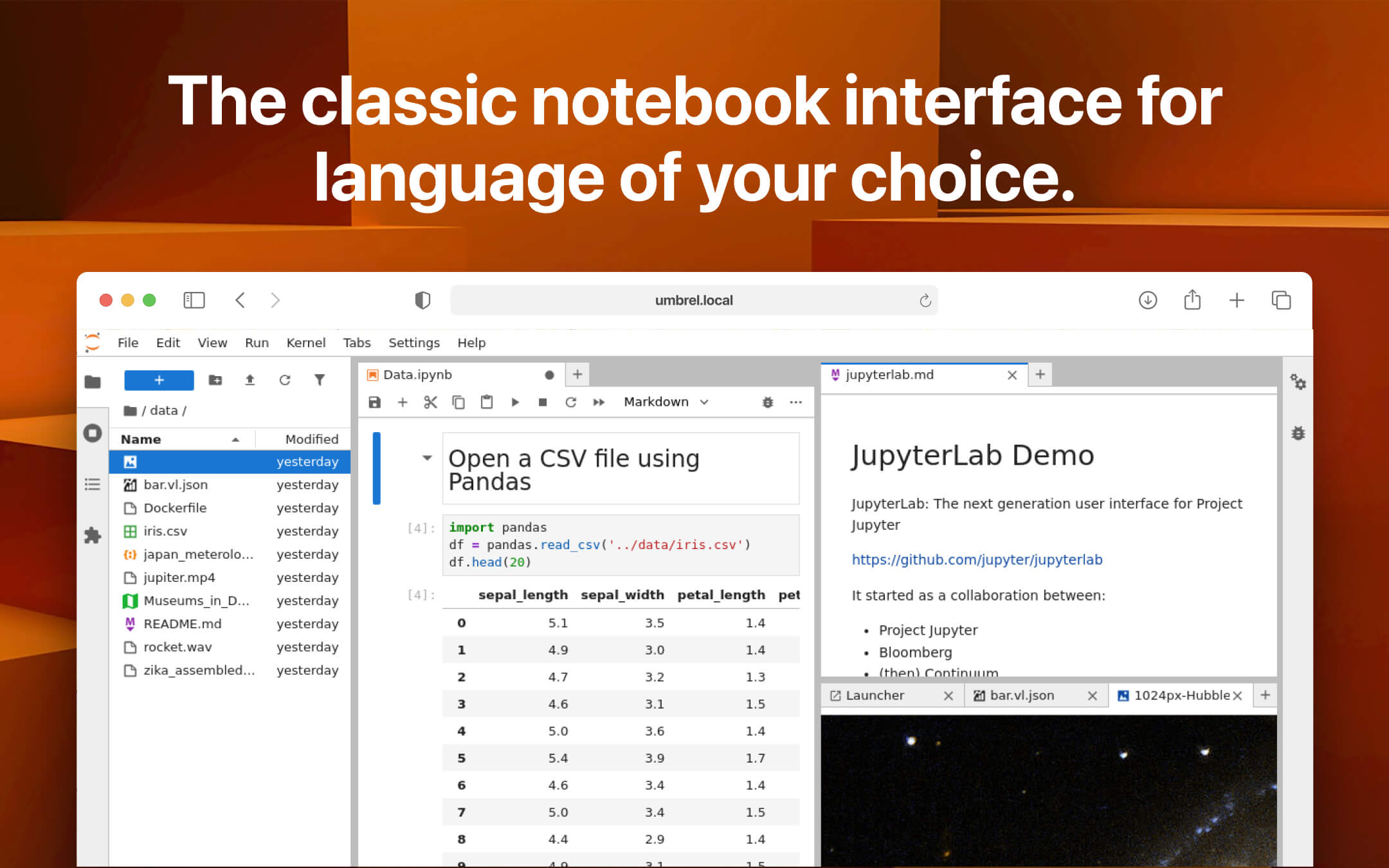 JupyterLab screenshot 2