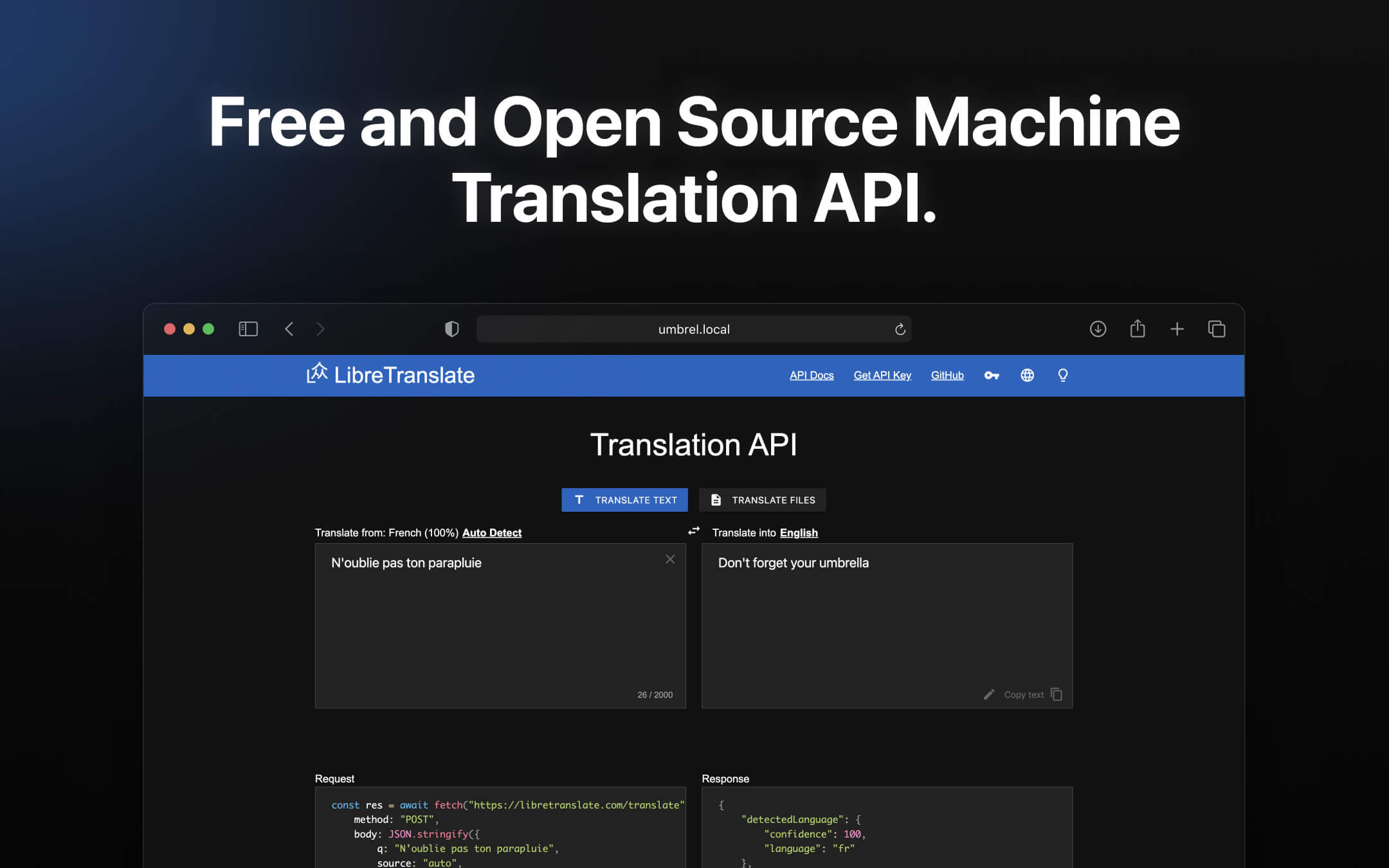 LibreTranslate screenshot 1