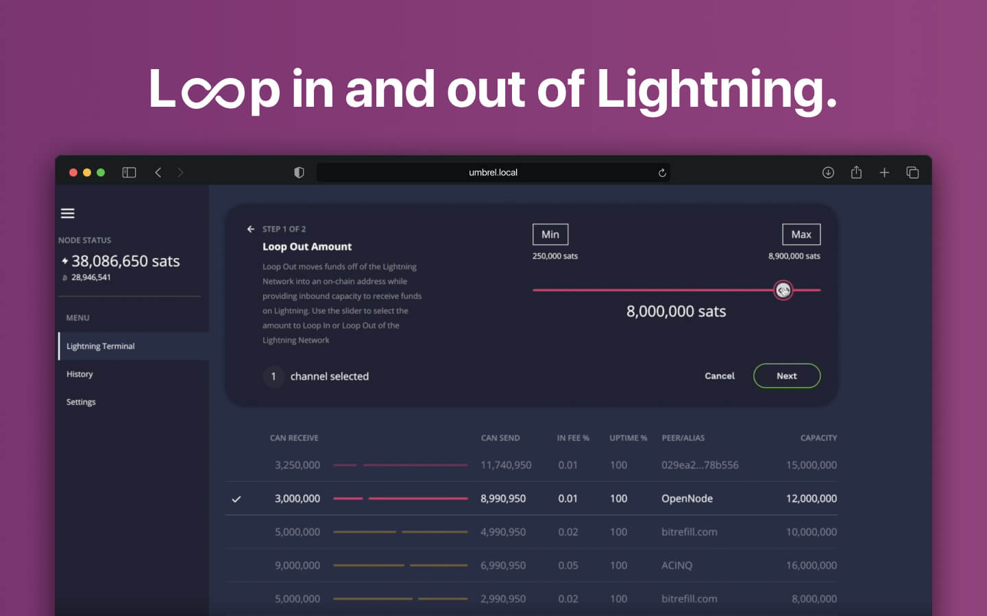 Lightning Terminal screenshot 3