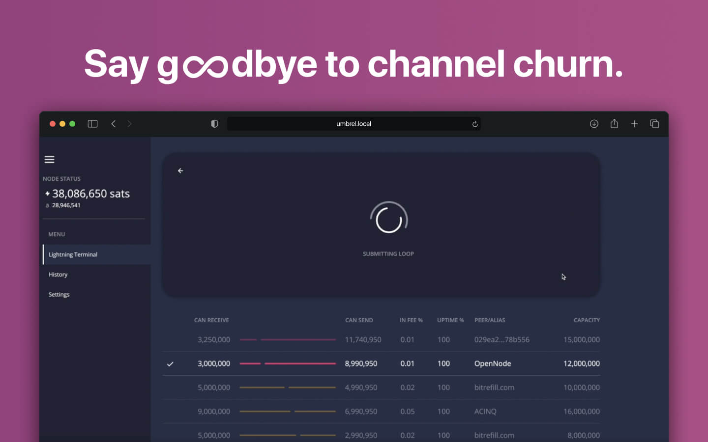 Lightning Terminal screenshot 4
