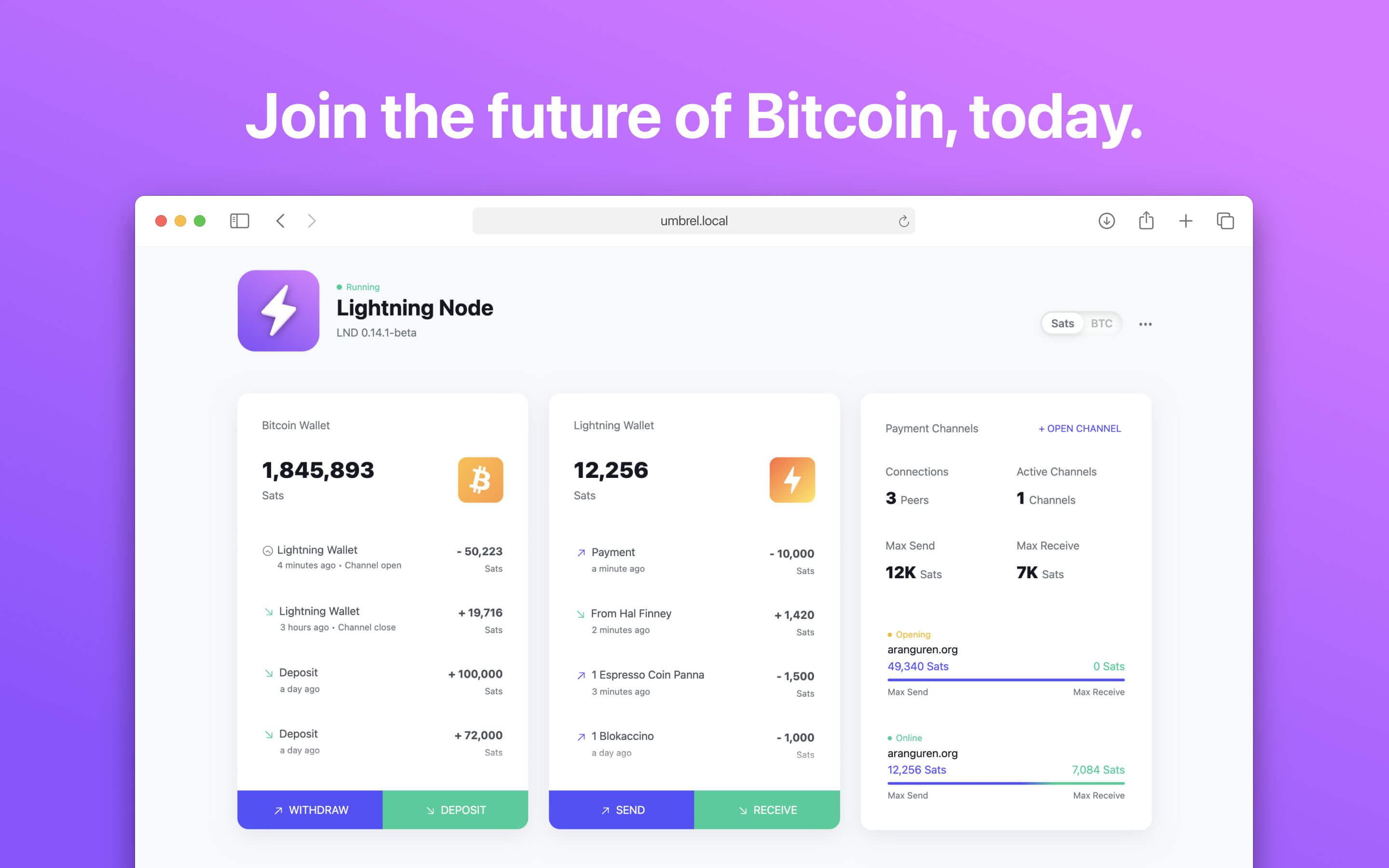 Lightning Node screenshot 1