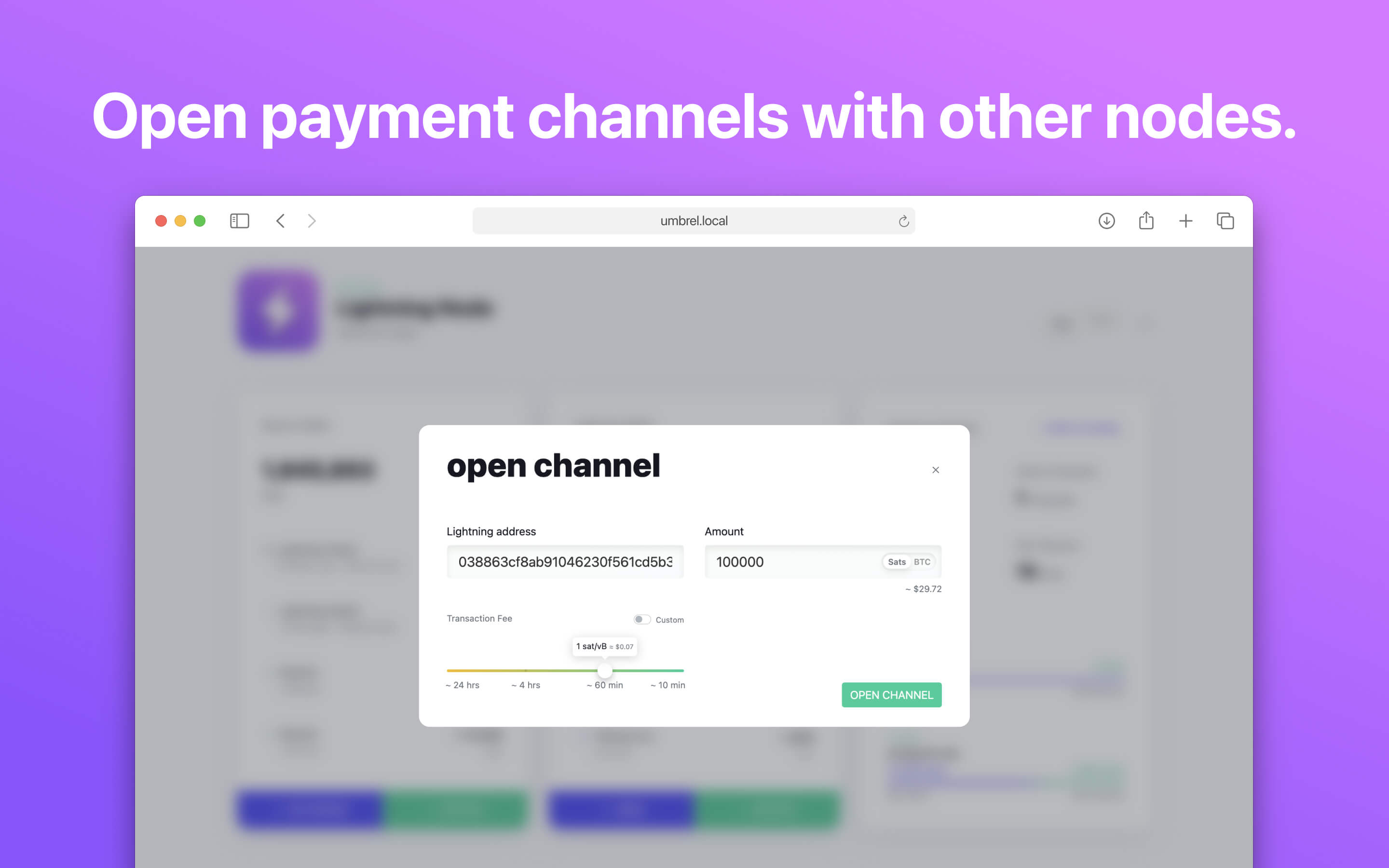 Lightning Node screenshot 4