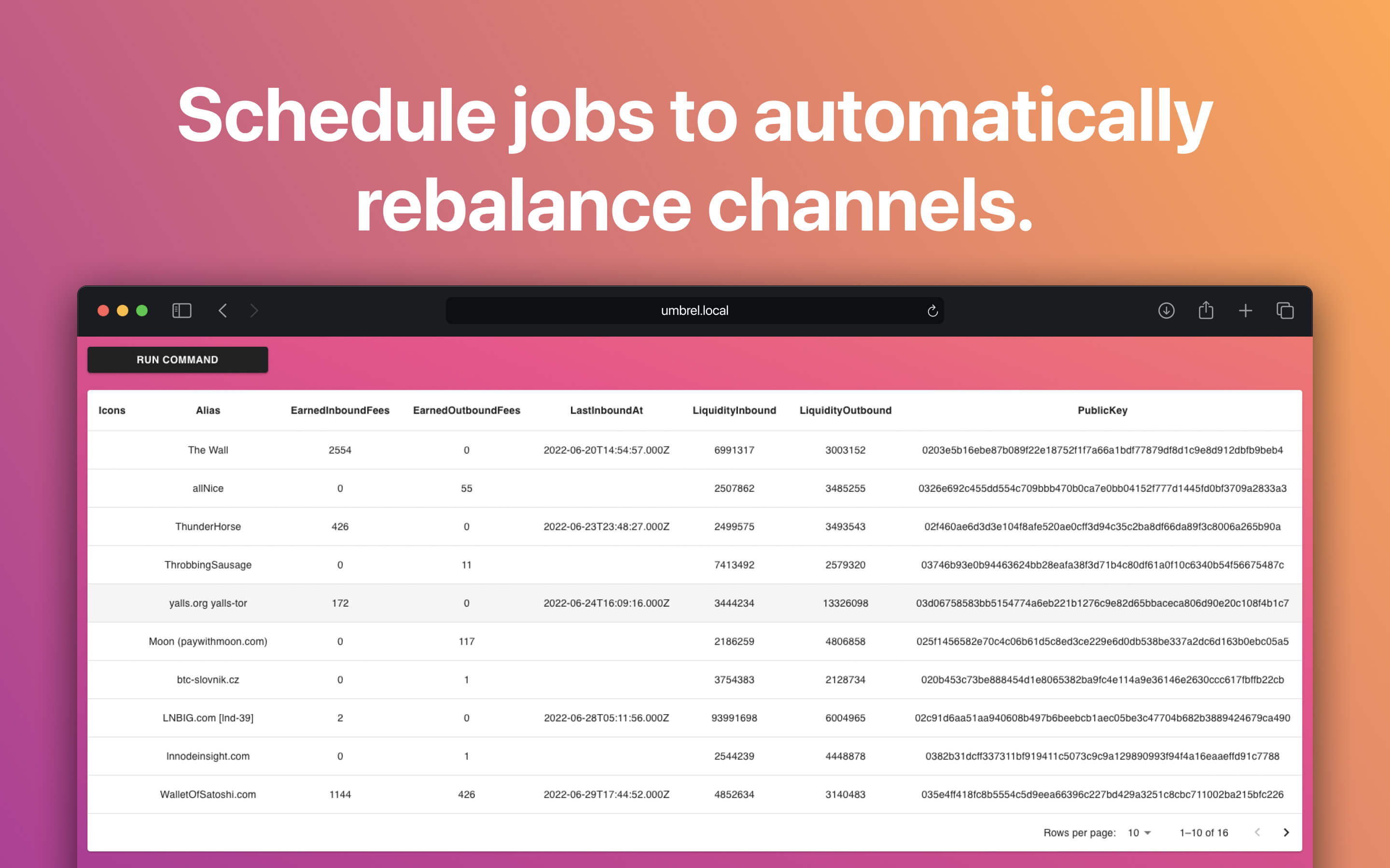 LndBoss screenshot 3
