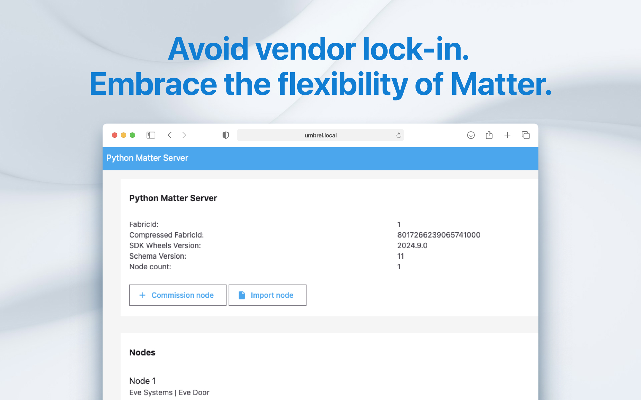 Matter Server screenshot 2