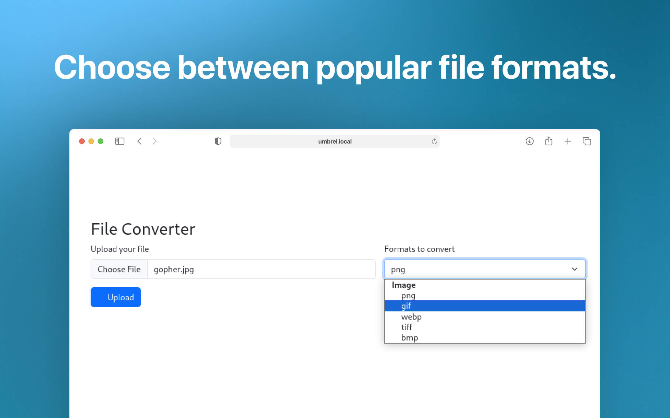 Morphos server screenshot 2
