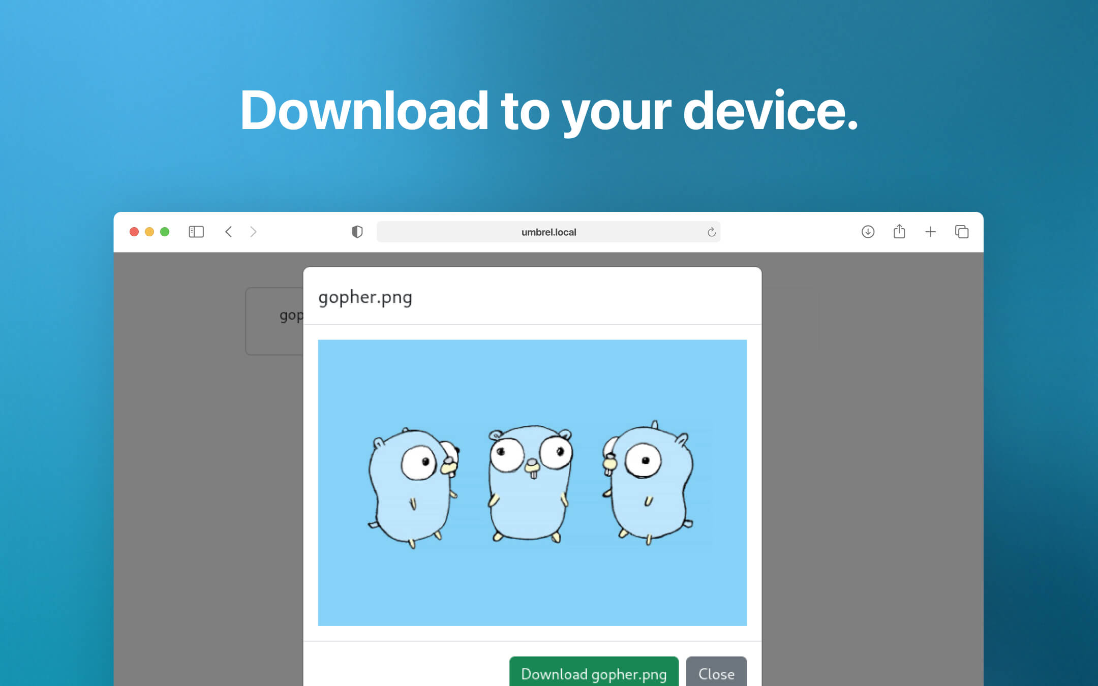 Morphos server screenshot 3