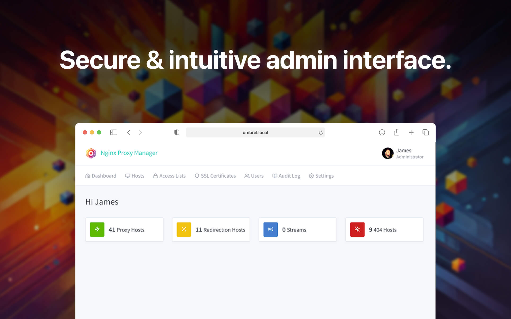 Nginx Proxy Manager screenshot 1
