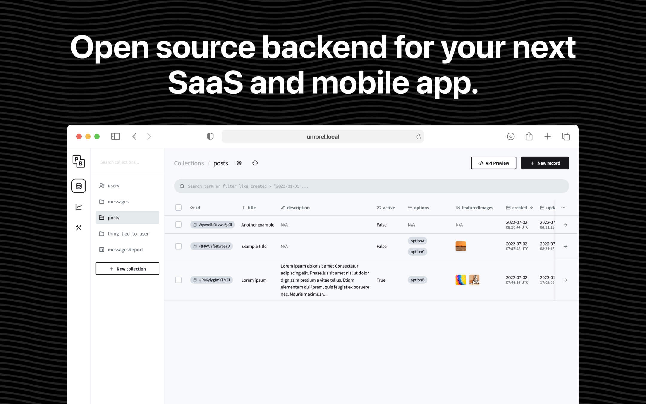 PocketBase screenshot 1