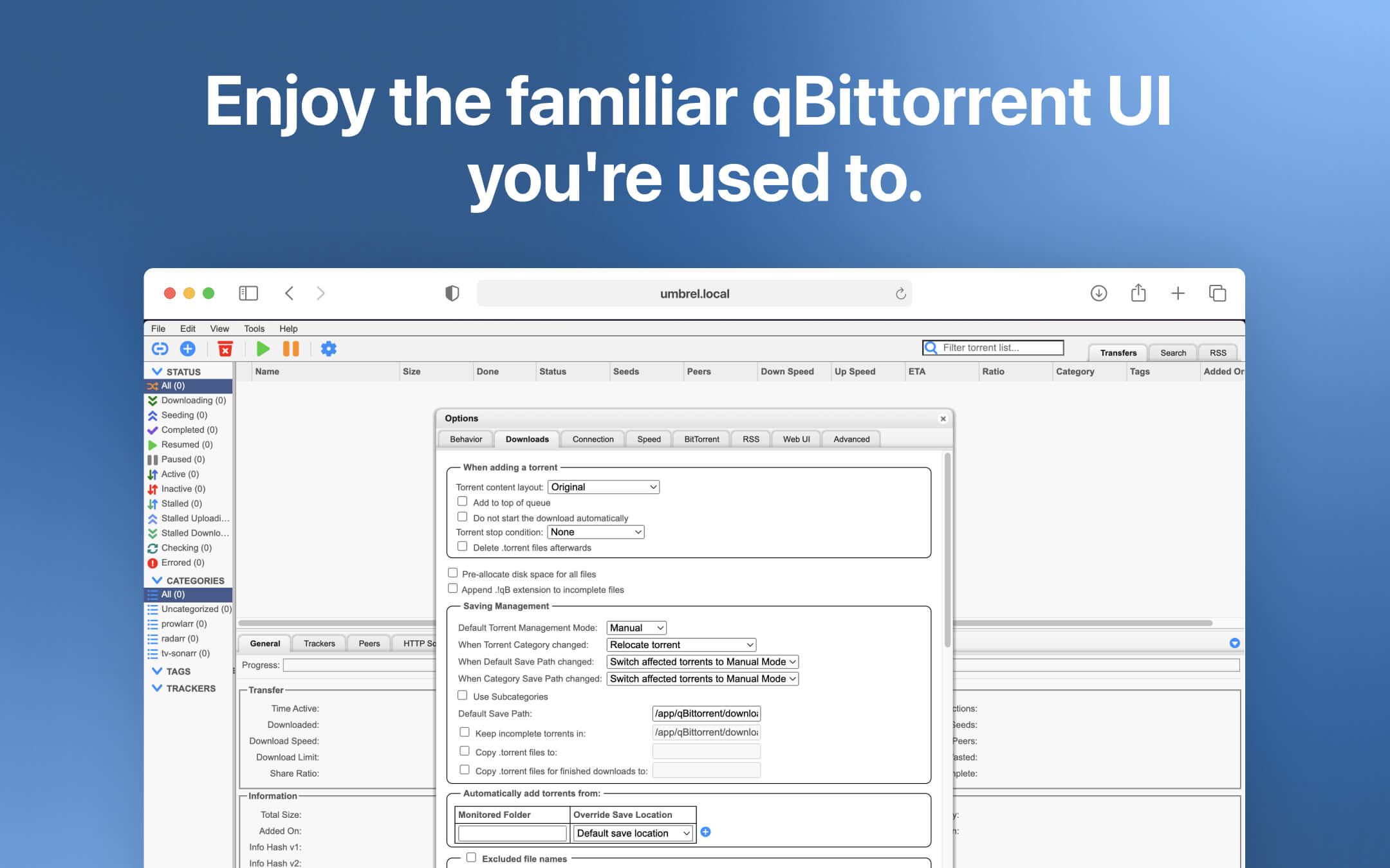qBittorrent screenshot 2
