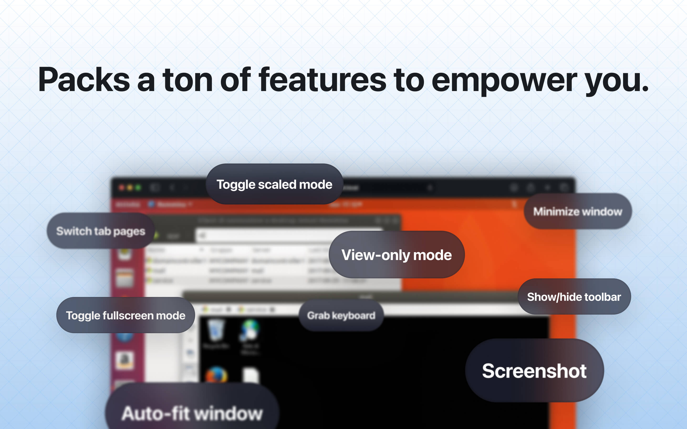 Remmina screenshot 3