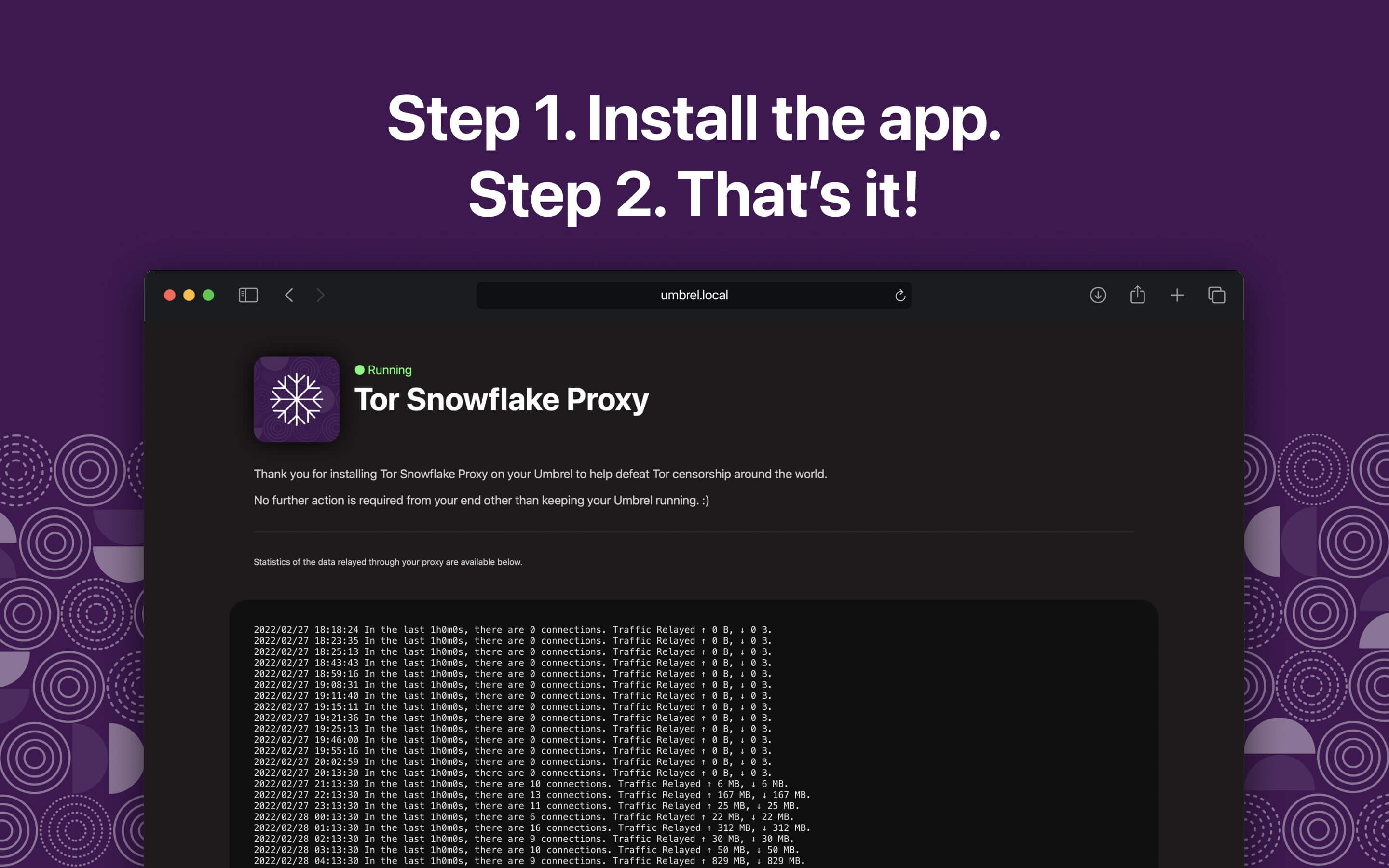Tor Snowflake Proxy screenshot 2