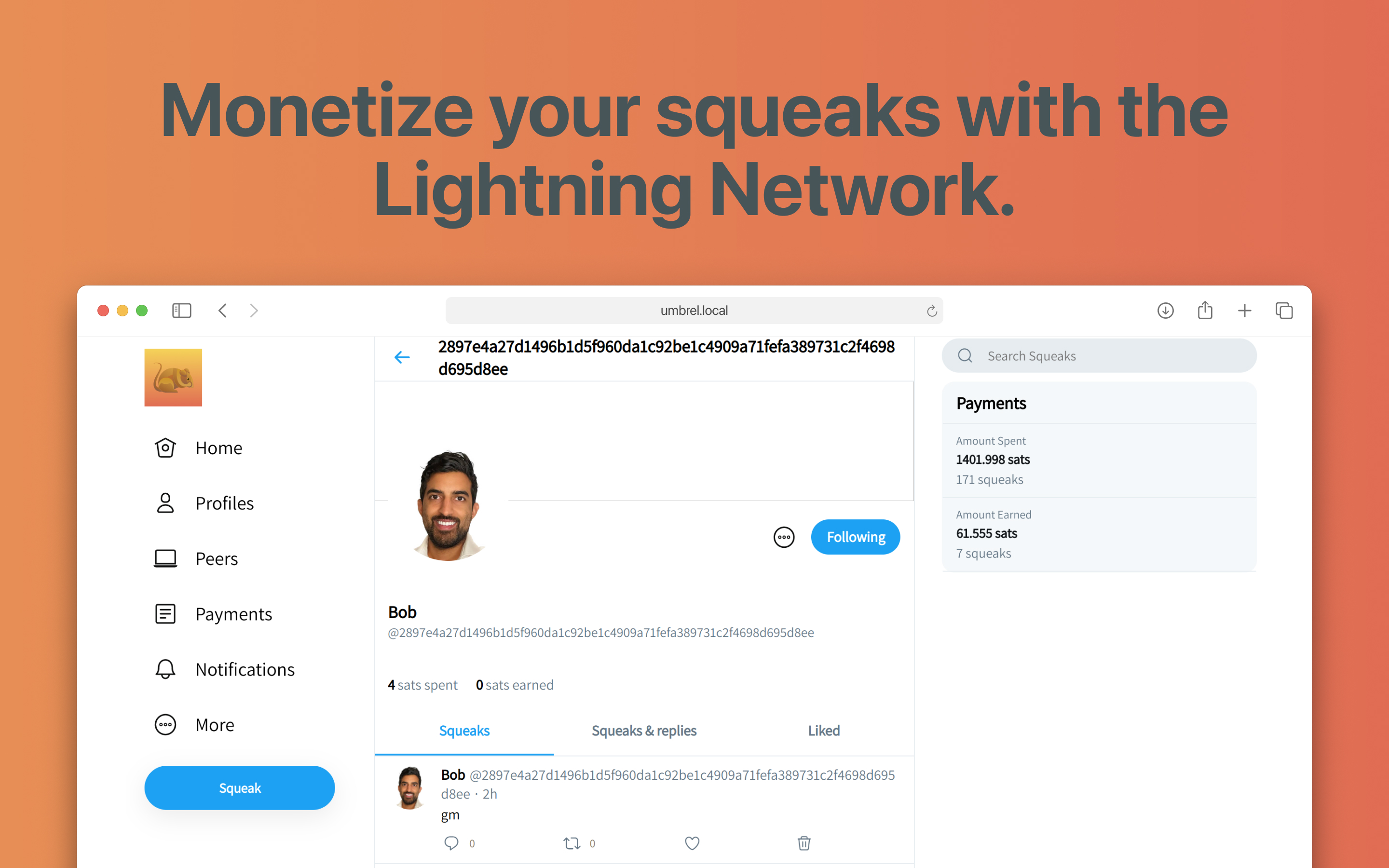 Squeaknode screenshot 3