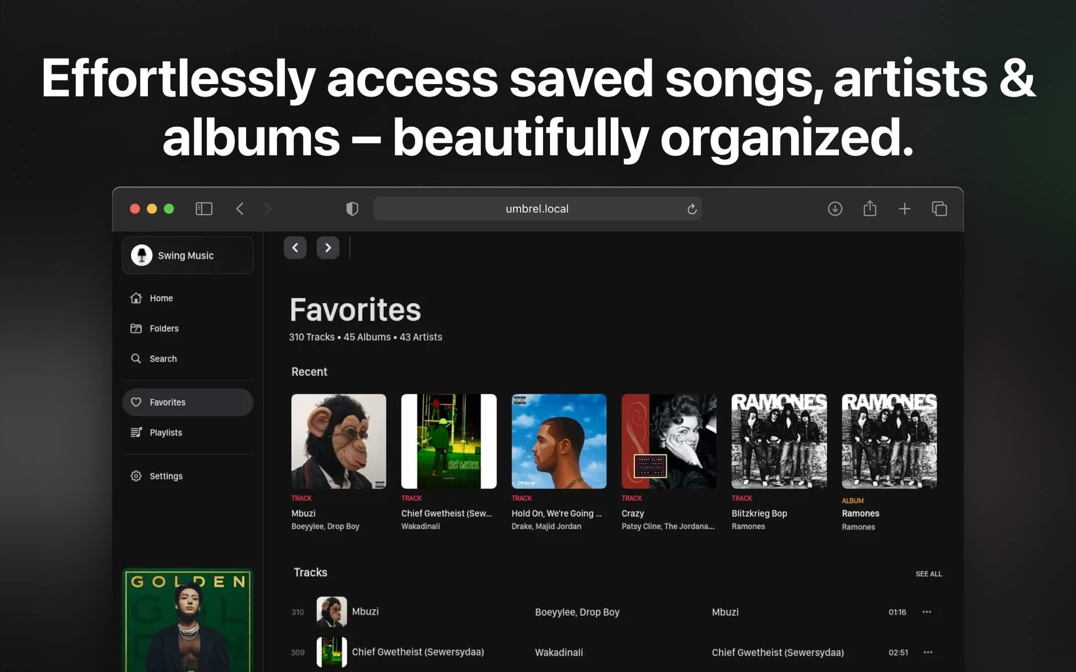 Swing Music screenshot 1