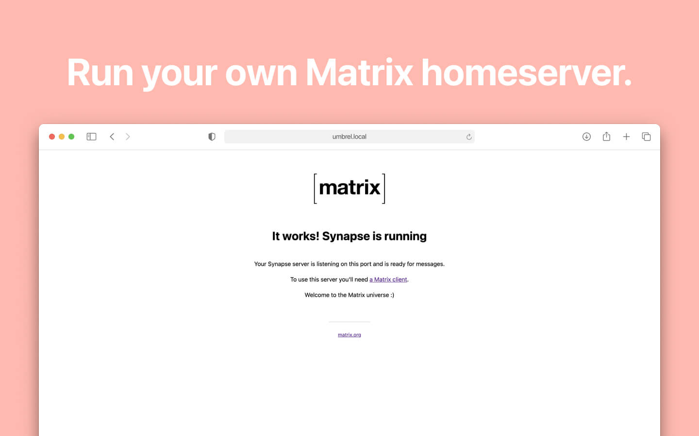 Synapse screenshot 1