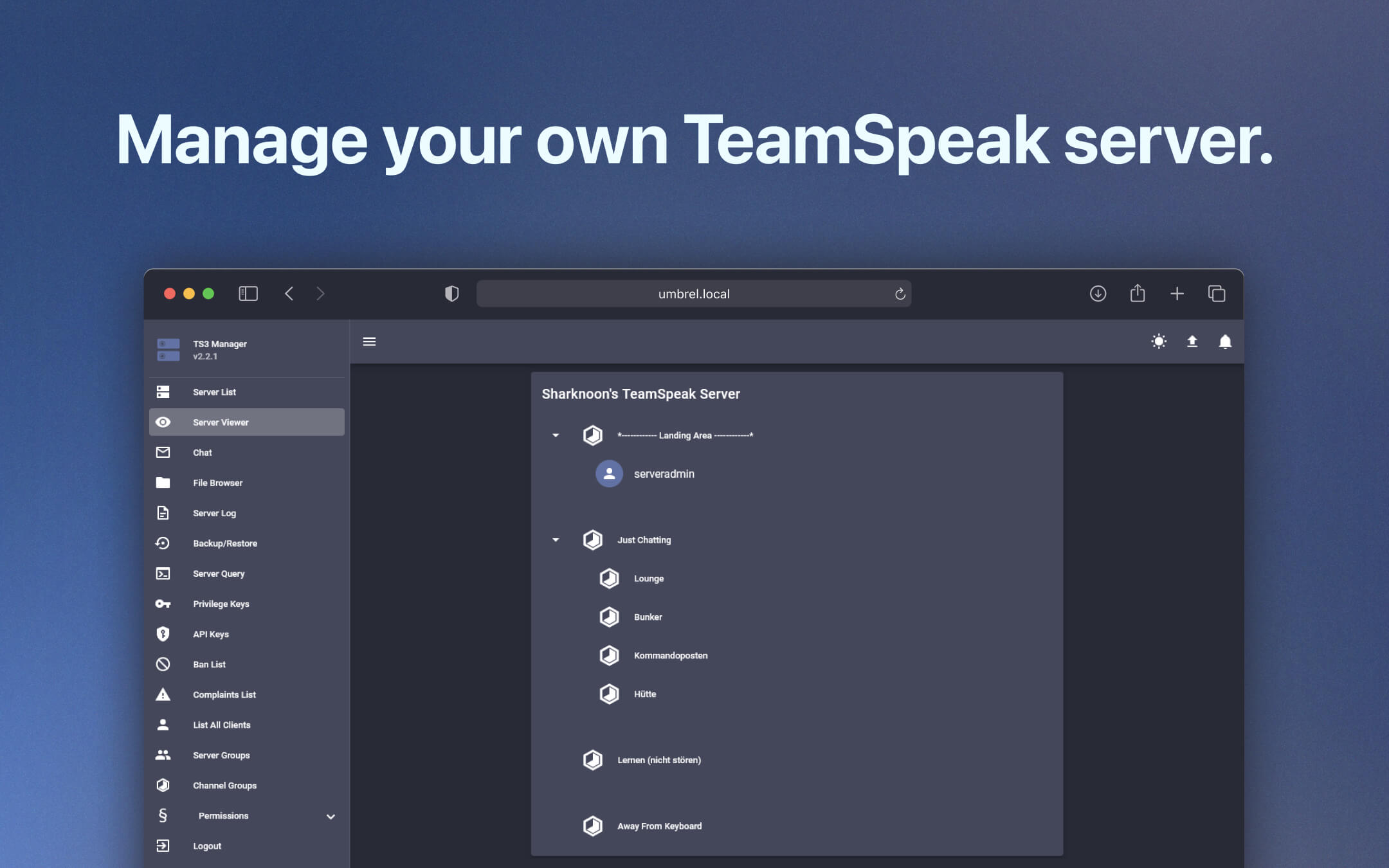 TeamSpeak screenshot 1