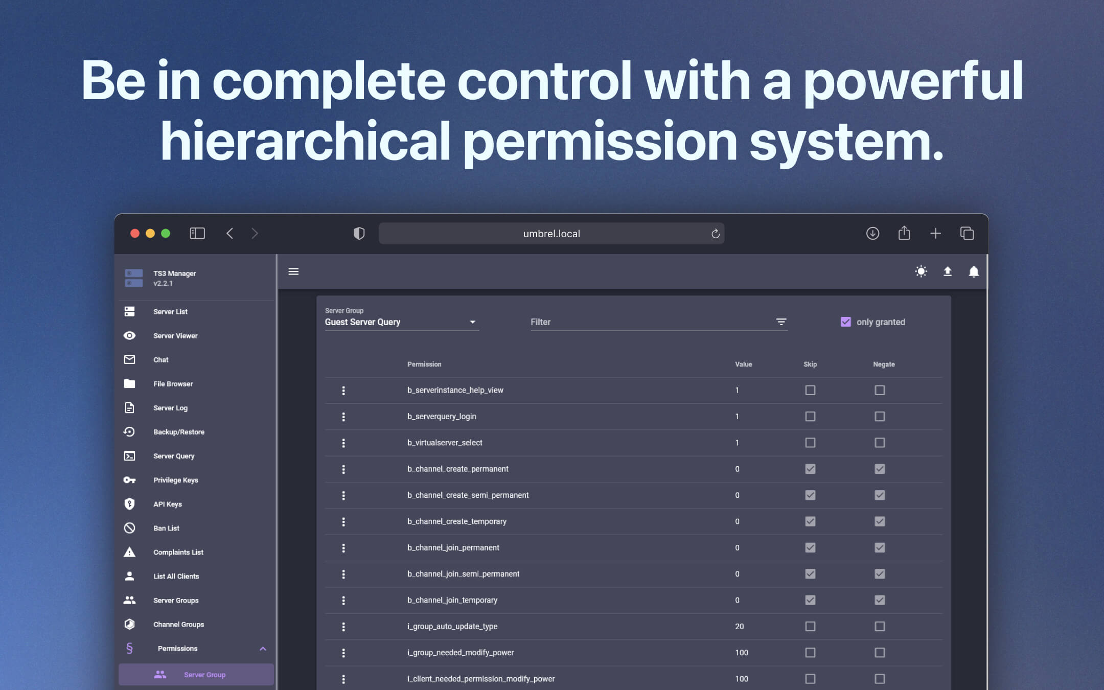 TeamSpeak screenshot 3