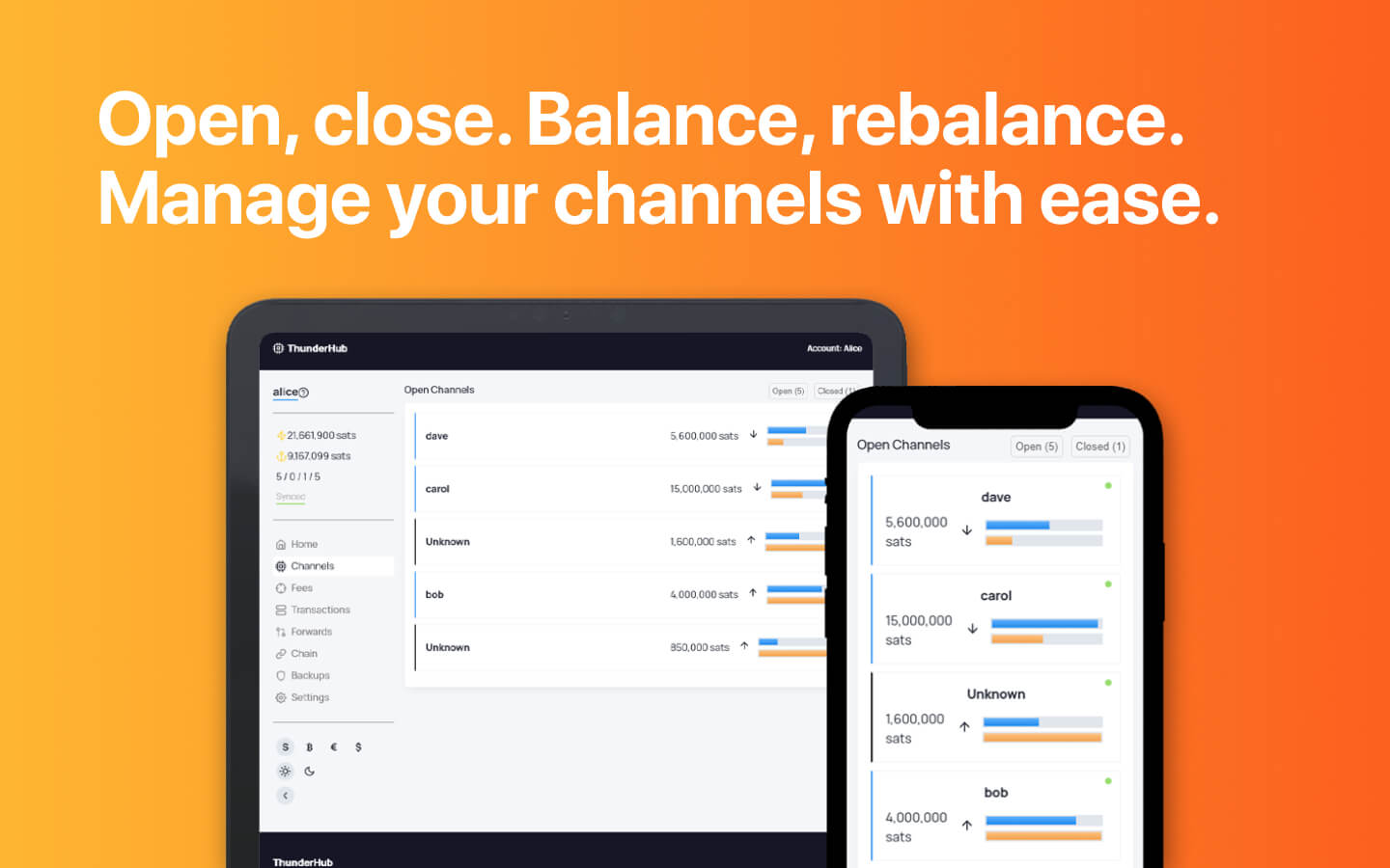 ThunderHub screenshot 1