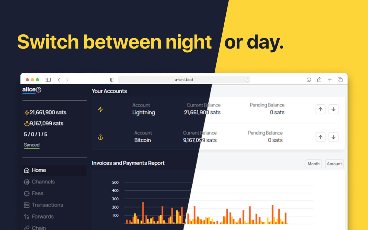 ThunderHub screenshot 3