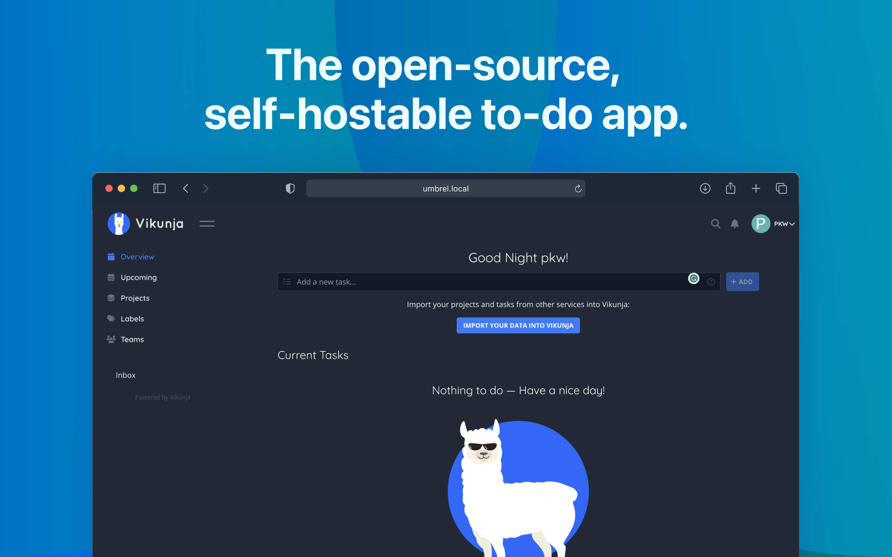 Vikunja screenshot 1