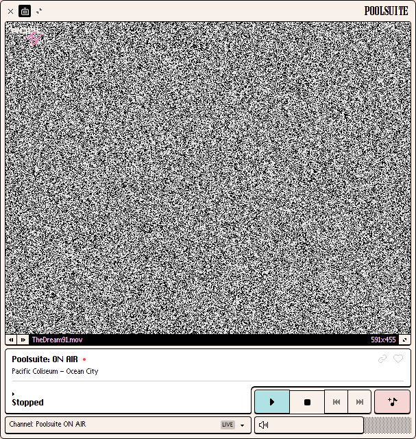 The Poolsuite player window captured by element mode