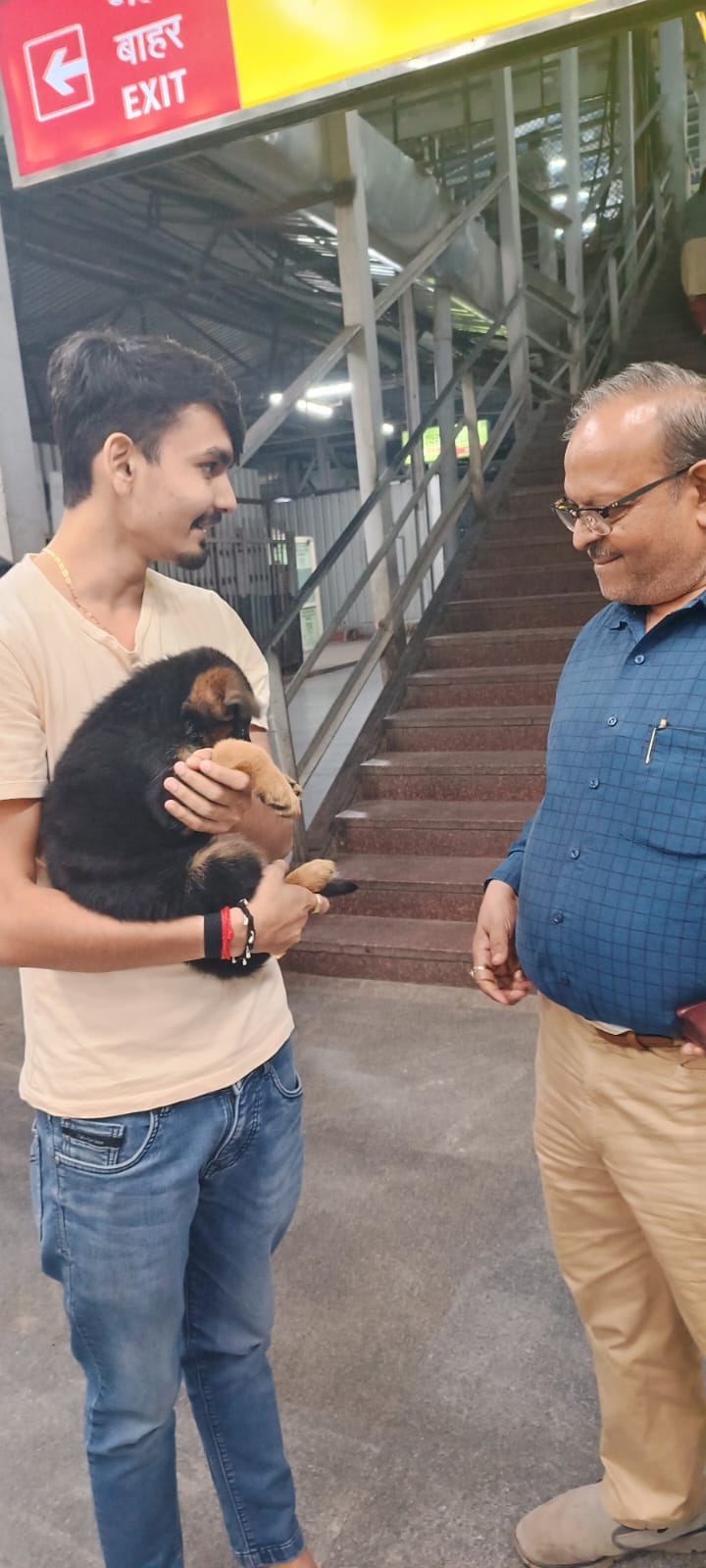 Happy pet reunion 1