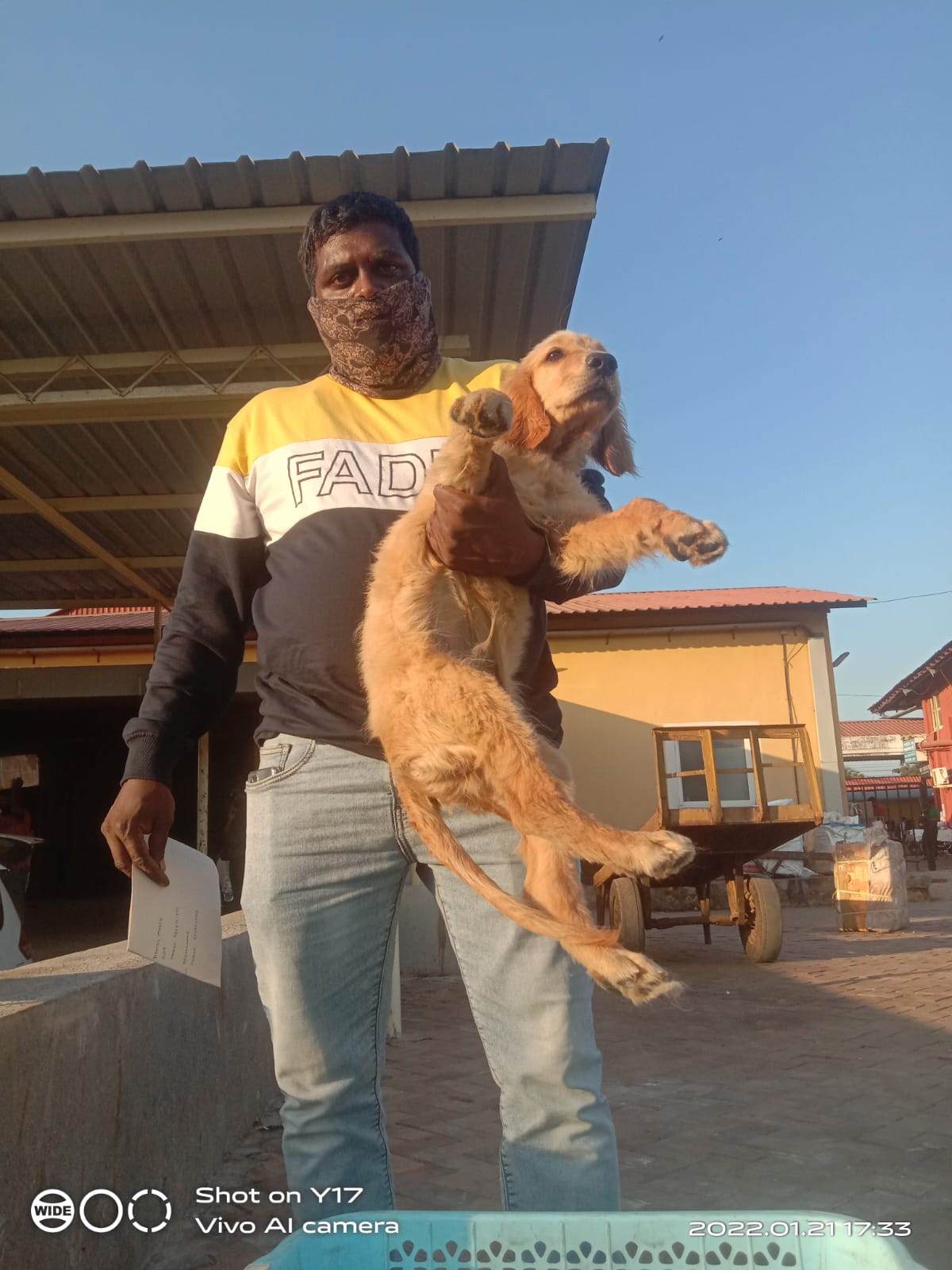 Happy pet reunion 7