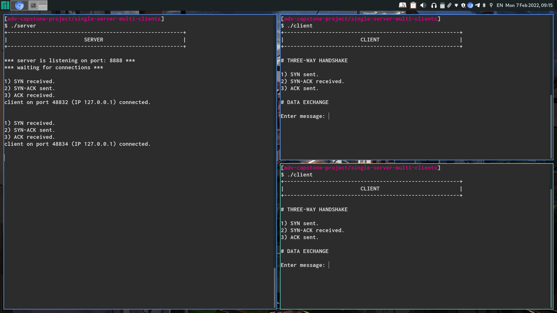 Connection established between a single server (left) and two clients (left).